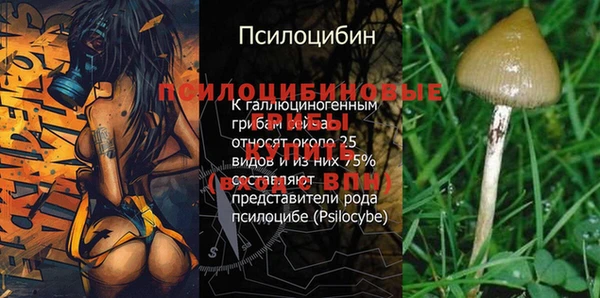 амф Алексин