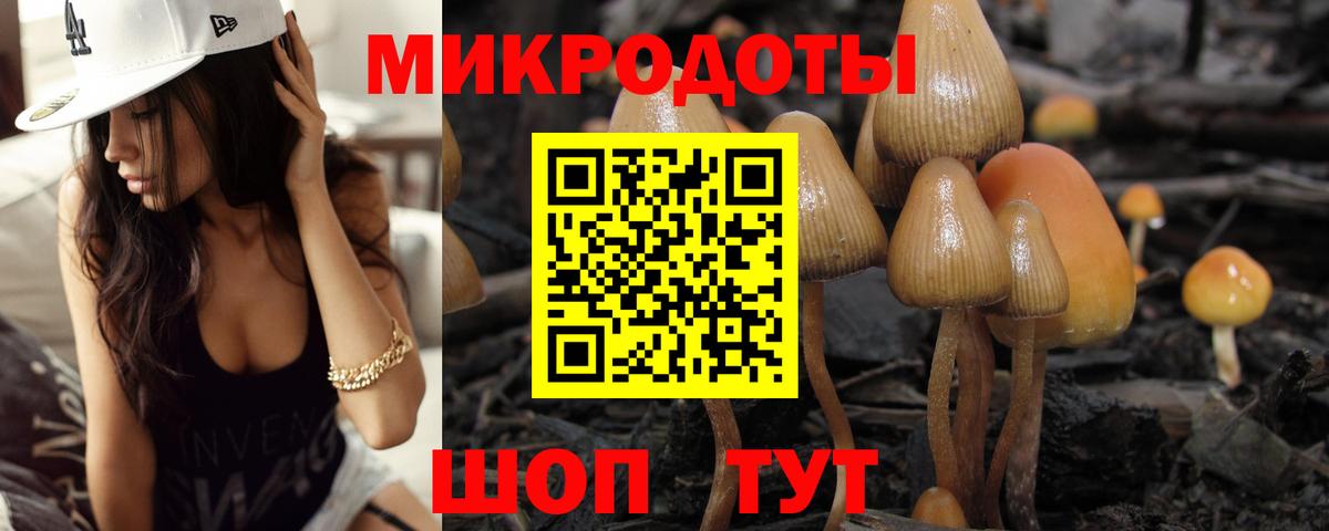 Псилоцибиновые грибы Magic Shrooms Карачаевск